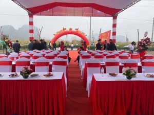 Cho thuê ghế sự kiện tại Hải Phòng