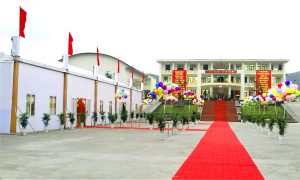 Tết trồng cây và ra quân sản xuất của Tổng Công Ty Đông Bắc - Kinh Bắc Media